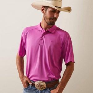 Ariat Ac Polo Dk Orchid Polska | YVCXED-148 Ariat Ac Polo Dk Orchid Polska | YVCXED-148