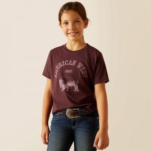 Ariat American West T-Shirt Wine Polska | ZWTKJU-908 Ariat American West T-Shirt Wine Polska | ZWTKJU-908