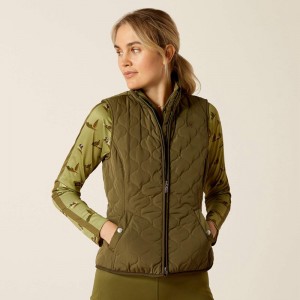 Ariat Ashley 2.0 Insulated Vest Winter Moss Polska | NIXBTC-081 Ariat Ashley 2.0 Insulated Vest Winter Moss Polska | NIXBTC-081