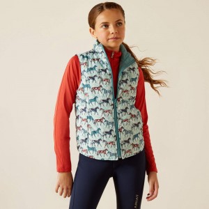 Ariat Bella Reversible Insulated Vest Niebieskie Polska | YISJDB-601 Ariat Bella Reversible Insulated Vest Niebieskie Polska | YISJDB-601