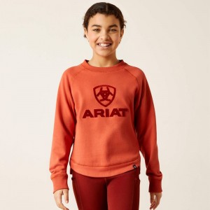 Ariat Benicia Sweatshirt Burnt Brick Polska | YSXZDN-685 Ariat Benicia Sweatshirt Burnt Brick Polska | YSXZDN-685