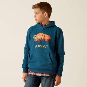 Ariat Bison Plains Hoodie Hydra Heather Polska | CYNVRU-453 Ariat Bison Plains Hoodie Hydra Heather Polska | CYNVRU-453