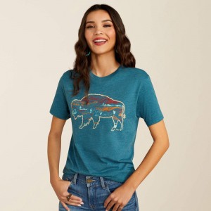 Ariat Bison Ranch T-Shirt Jasny Polska | VWRKZE-732 Ariat Bison Ranch T-Shirt Jasny Polska | VWRKZE-732