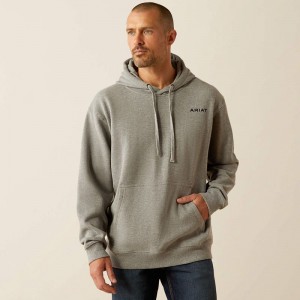 Ariat Bold Hex Hoodie Szare Polska | QDFCHW-503 Ariat Bold Hex Hoodie Szare Polska | QDFCHW-503