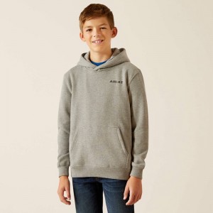 Ariat Bold Hex Hoodie Szare Polska | VNGZHX-826 Ariat Bold Hex Hoodie Szare Polska | VNGZHX-826