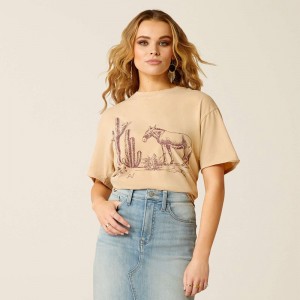 Ariat Burro T-Shirt Kremowe Niebieskie Polska | PFJXDL-347 Ariat Burro T-Shirt Kremowe Niebieskie Polska | PFJXDL-347