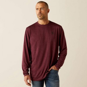 Ariat Charger Breakthru T-Shirt Malbec Heather Polska | NGBQIE-405 Ariat Charger Breakthru T-Shirt Malbec Heather Polska | NGBQIE-405