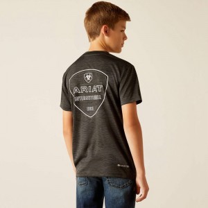 Ariat Charger Crestline T-Shirt Charcoal Polska | ENSMAJ-817 Ariat Charger Crestline T-Shirt Charcoal Polska | ENSMAJ-817