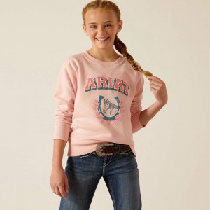 Ariat College Sweatshirt Różowe Polska | DCSXJF-178 Ariat College Sweatshirt Różowe Polska | DCSXJF-178