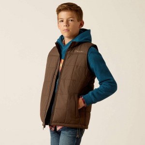 Ariat Crius Insulated Vest Banyan Bark Polska | MCEXLR-460 Ariat Crius Insulated Vest Banyan Bark Polska | MCEXLR-460