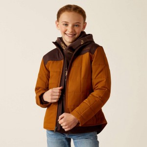 Ariat Crius Jacket Chestnut Horse/Chocolate Plum Polska | SNVGHQ-953 Ariat Crius Jacket Chestnut Horse/Chocolate Plum Polska | SNVGHQ-953