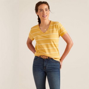Ariat Fairford T-Shirt Paski Polska | CNMRXY-562 Ariat Fairford T-Shirt Paski Polska | CNMRXY-562