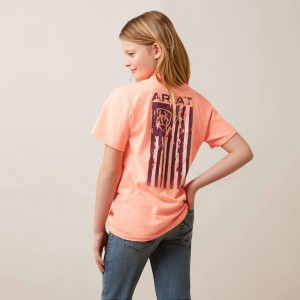 Ariat Gila River Tee Neon Peach Heather Polska | XZFMES-429 Ariat Gila River Tee Neon Peach Heather Polska | XZFMES-429