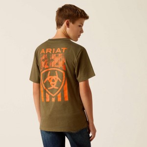 Ariat Grain Flag T-Shirt Military Heather Polska | WFASBV-937 Ariat Grain Flag T-Shirt Military Heather Polska | WFASBV-937