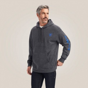 Ariat Logo Hoodie Charcoal Heather Polska | CJIHKU-143 Ariat Logo Hoodie Charcoal Heather Polska | CJIHKU-143