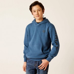 Ariat Logo Hoodie Poseidon Polska | ILWTEH-194 Ariat Logo Hoodie Poseidon Polska | ILWTEH-194