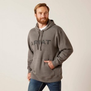 Ariat Logo Hoodie Szare Polska | HIOUSD-674 Ariat Logo Hoodie Szare Polska | HIOUSD-674