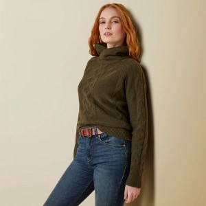 Ariat Novato Sweater Earth Polska | AWPCUE-542 Ariat Novato Sweater Earth Polska | AWPCUE-542