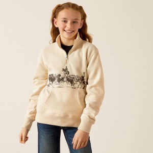 Ariat Pasture 1/4 Zip Sweatshirt Oatmeal Heather Polska | RXDOYI-120 Ariat Pasture 1/4 Zip Sweatshirt Oatmeal Heather Polska | RXDOYI-120