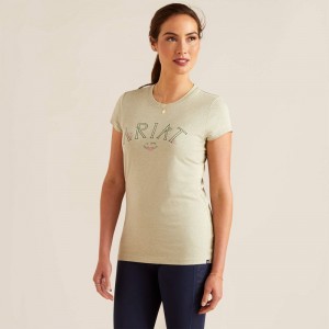 Ariat Posey T-Shirt Zielone Polska | BDWASY-562 Ariat Posey T-Shirt Zielone Polska | BDWASY-562