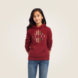 Ariat Real Beartooth Hoodie Czerwone Polska | YLTWON-174 Ariat Real Beartooth Hoodie Czerwone Polska | YLTWON-174
