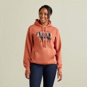 Ariat Real Branded Logo Hoodie Aragon Polska | RVLZTI-098 Ariat Real Branded Logo Hoodie Aragon Polska | RVLZTI-098
