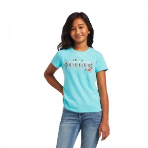 Ariat Real Cactus Tee Amazonite Polska | HUKWOT-659 Ariat Real Cactus Tee Amazonite Polska | HUKWOT-659