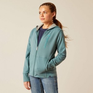 Ariat Team Logo Full Zip Hoodie North Atlantic Polska | WAHFRC-710