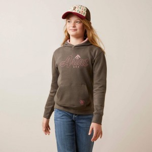 Ariat Thunderbird Sweatshirt Banyan Bark Polska | FDTVYU-835
