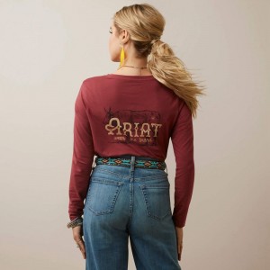 Ariat Wear The Brand Tee Burnt Russet Polska | KNLCSB-547 Ariat Wear The Brand Tee Burnt Russet Polska | KNLCSB-547