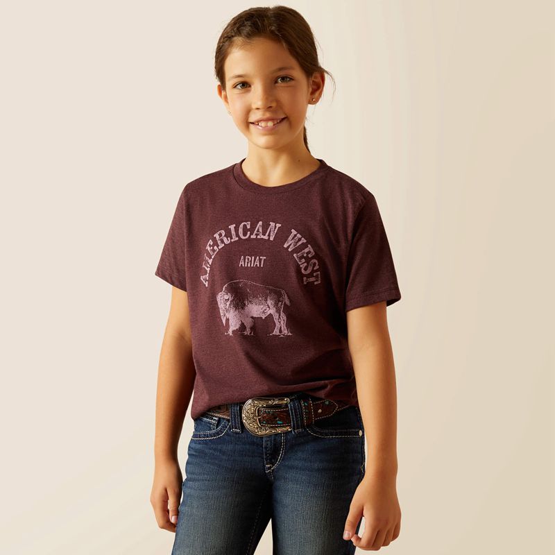 Ariat American West T-Shirt Wine Polska | ZWTKJU-908 - Kliknij obrazek, aby zamknąć