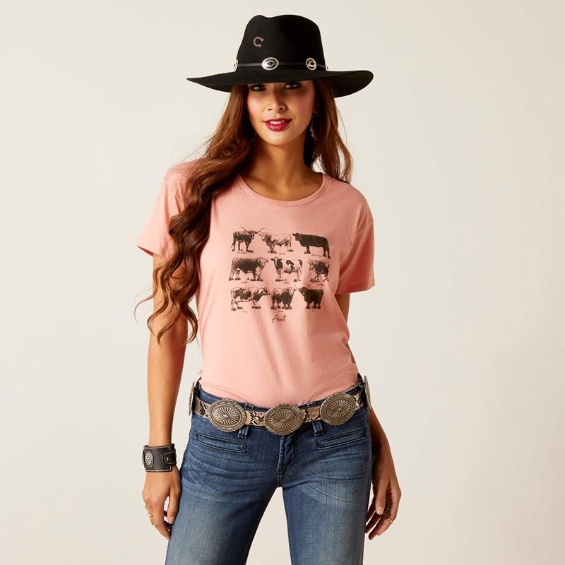 Ariat Cow Chart T-Shirt Sunset Heather Polska | XQODJK-865 - Kliknij obrazek, aby zamknąć