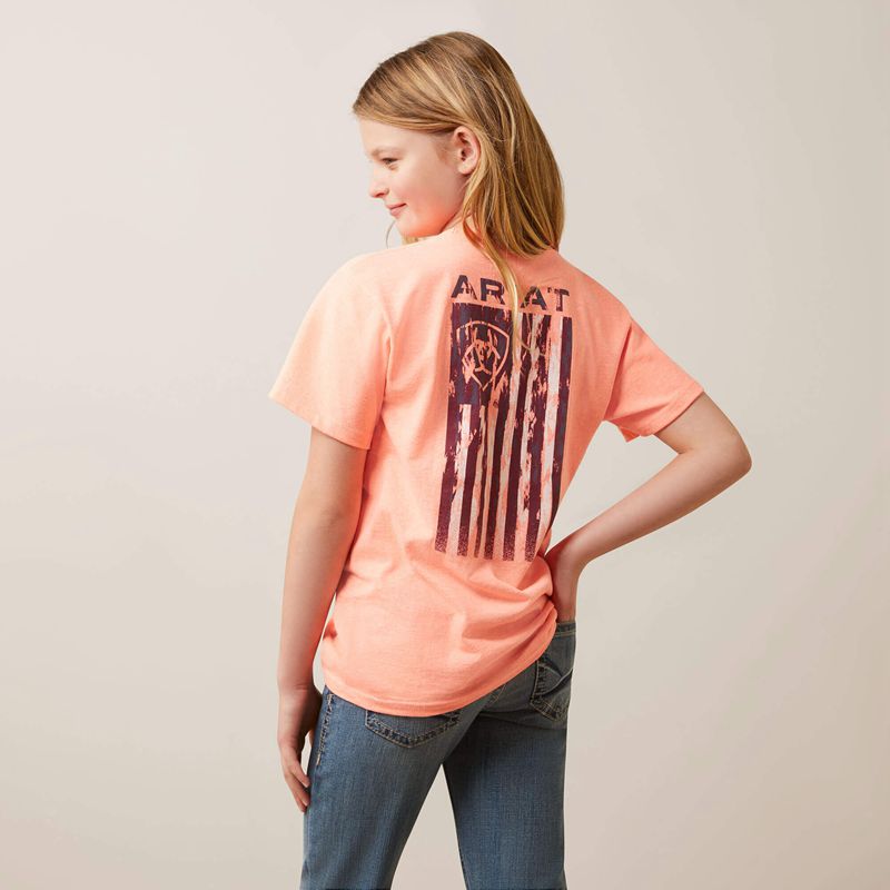 Ariat Gila River Tee Neon Peach Heather Polska | XZFMES-429 - Kliknij obrazek, aby zamknąć